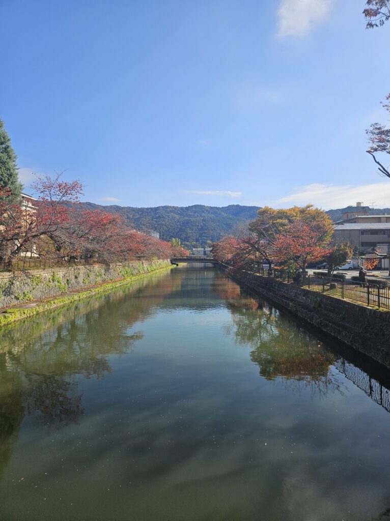 京都京セラ美術館近くの風景